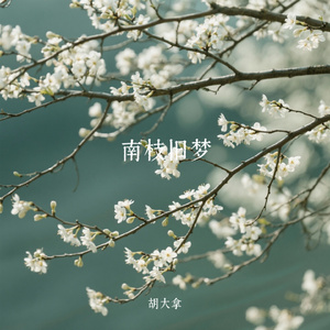 南枝旧梦