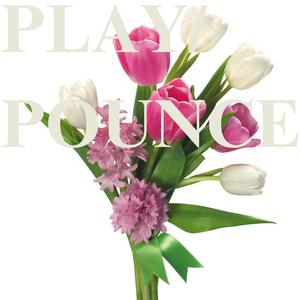PLAY/POUNCE