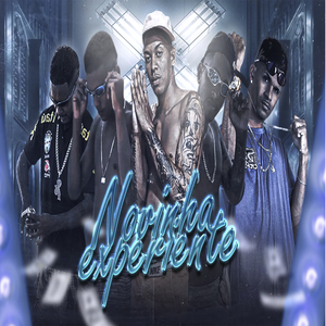 Novinha Experiente (Remix)