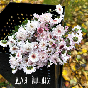 для інших