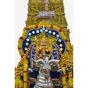 திருப்புகழ் 673 கனவாலங் கூர்விழி (திருவாலங்காடு)