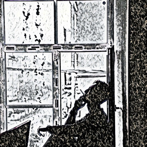 Stylize Anthropomorphize