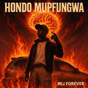 Hondo mupfungwa