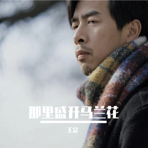 马兰花开在山顶上WYB