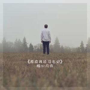 原谅我还没有忘记