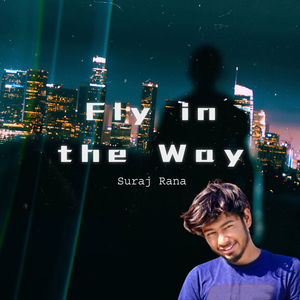 Fly in the Way