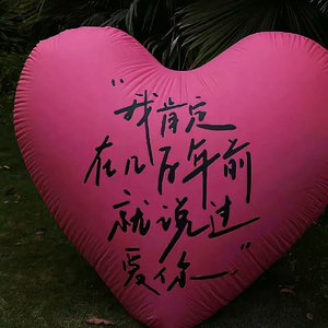 他躺在我的怀里就像睡着了一般