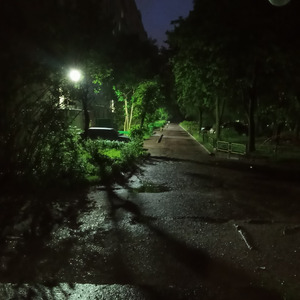 Воспоминания