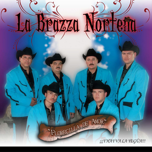 Corrido de Braulio Garcia