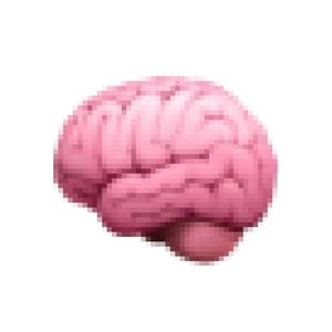 brains