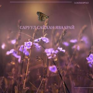 Саруул сайхан яваарай
