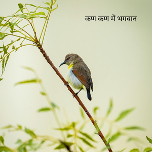 कण कण में भगवान