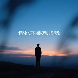 请你不要想起我