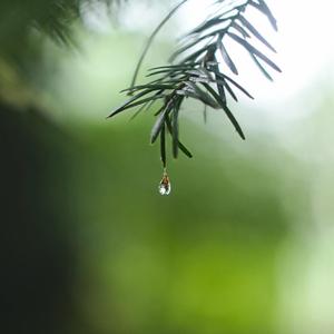 Extraordinary Relaxation