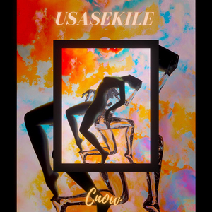 Usasekile