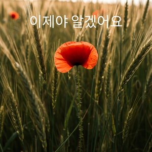 이제야 알겠어요