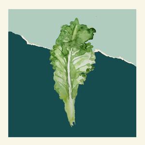 collard