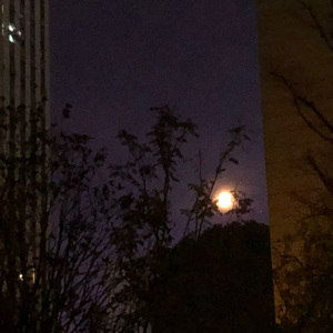 我以为（cover：刘瑞琦）