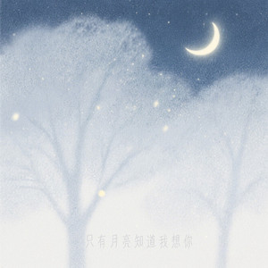 只有月亮知道我想你