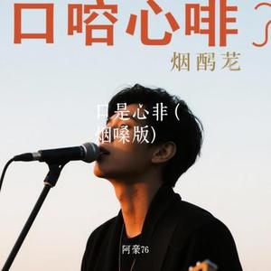 口是心非 (Cover 半吨兄弟)