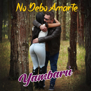 No Debo Amarte