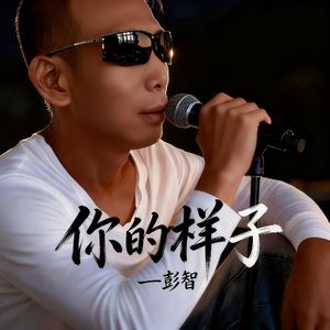 罗大佑-你的样子