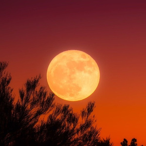 Wake Me Up When The Moon is Full (Interlude)