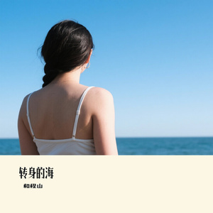 转身的海