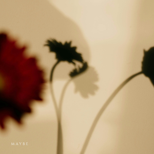 Maybe