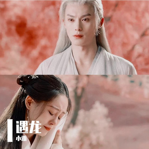 遇萤(翻自CRITTY)