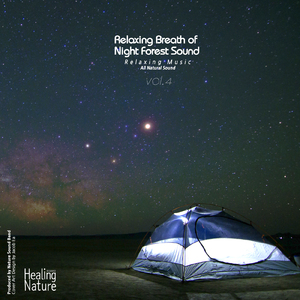 기댈 곳 없는 당신의 마음을 쉬게하는 숲의 위로