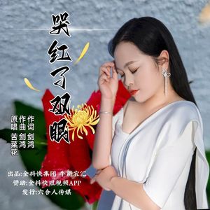 哭红了双眼 伴奏