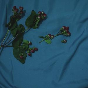 Free in the world,My lover.