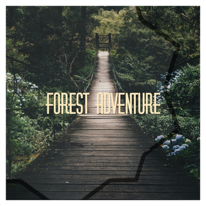 Waldgeraeusche für Kinder zum Entspannen