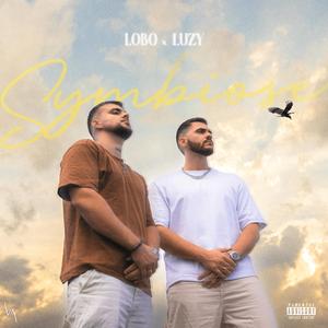 Comme un bijou (feat. LOBO)