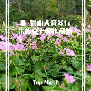 《半山听雨》吉他、古琴和奏（cover by 朱传文）（翻自 朱传文）