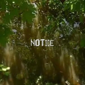 n0tice