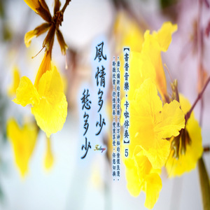 莺老花残谢世缘 (卡拉版)