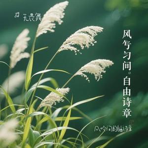 风吟间的自由诗章