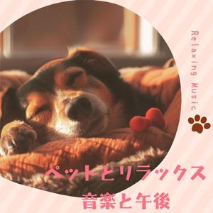 猫 寝る音楽と月