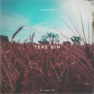 Tere Bin (feat. Nee-yo)