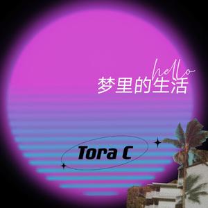 梦里的生活