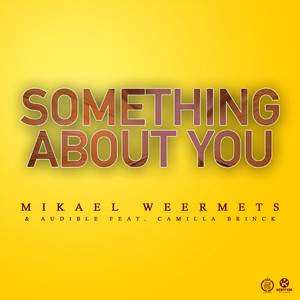 Something About You (Vocal Mix)