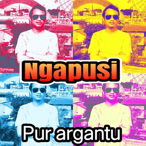 Ngapusi