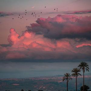 Linkin Park-In The End（WeiMUSIQUE remix）