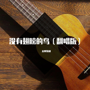 没有翅膀的鸟