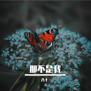 错位