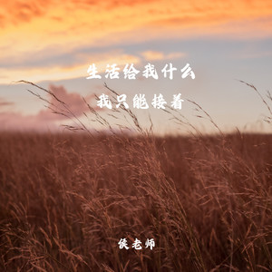 生活给我什么我只能接着