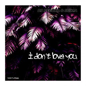I don´t love you (Seima Remix)