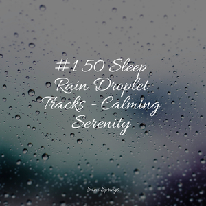 Wetland, Rain, Puddle, Frogs